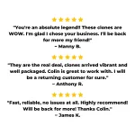 Cannabis Clone 3 Pack