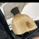 Cannabis Clone 3 Pack