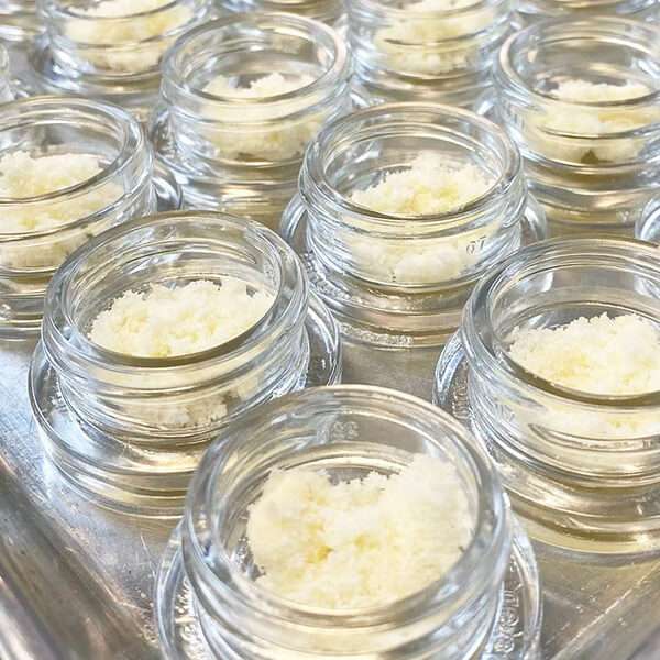 thca isolate in jars